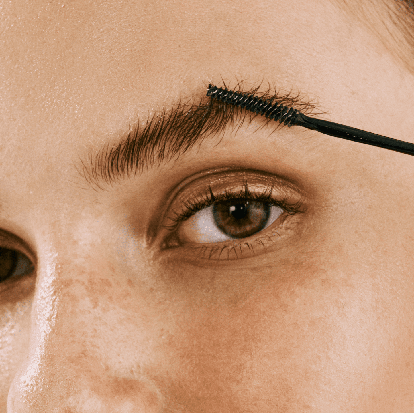 Brow fix gel