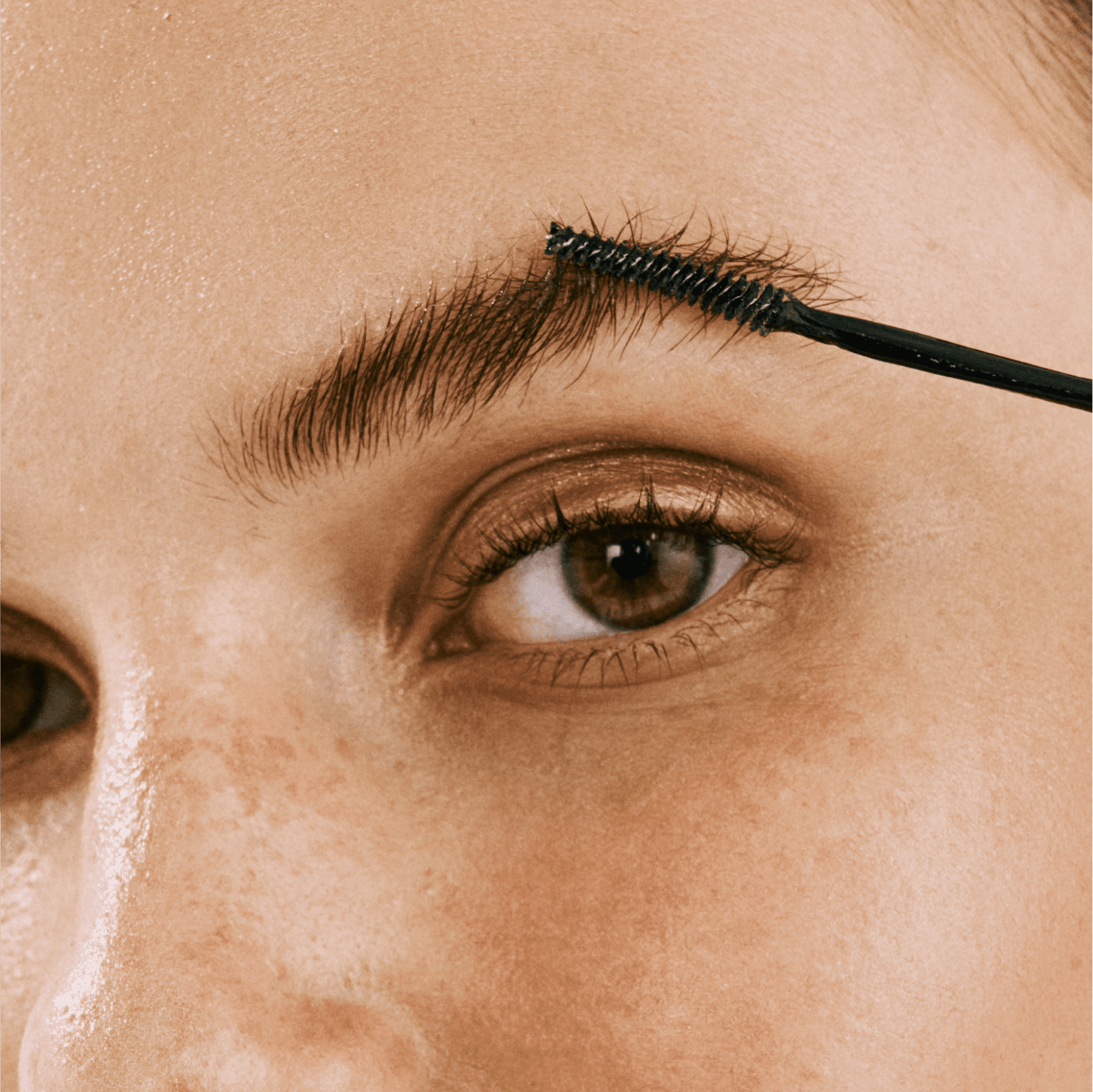 Brow fix gel - Pusy beauty